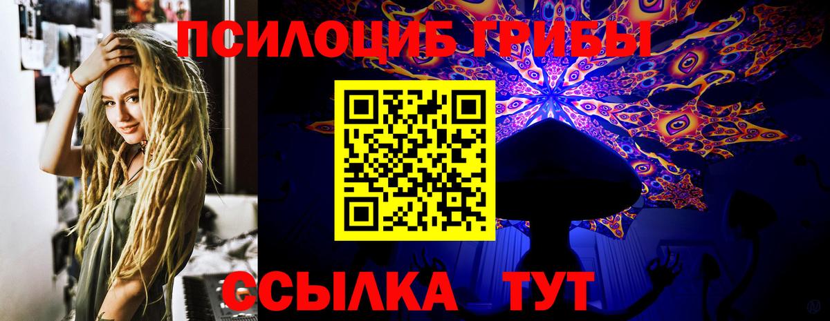 Галлюциногенные грибы Cubensis  Галлюциногенные грибы Psilocybe  Вход с VPN  цена   Междуреченск 